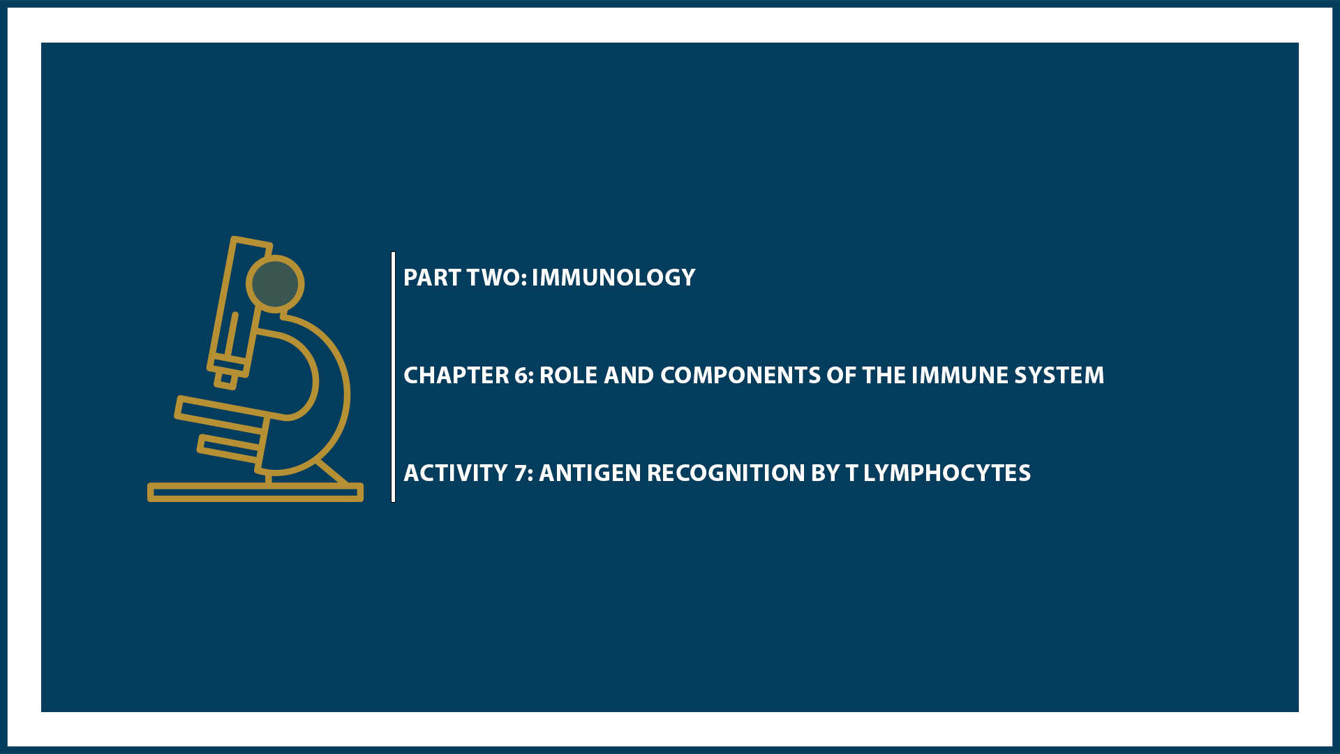 Unit Two: Chapter 5 - Document 7: Antigen recognition by T lymphocytes